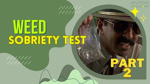 Stoner Sobriety Test - PART 2