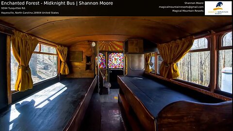 Enchanted Forest - Midknight Bus | Shannon Moore