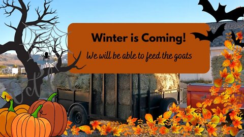 Winter is Coming~We will be able to feed the goats