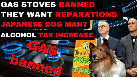 THE VOICE WANTS REPARATIONS, GAS STOVES BANNED, MASSIVE TAX INCREASE FOR ALCOHOL, JAPANSE MAN DOG.