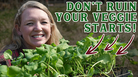 5 Seed Starting Mistakes that Might Be Ruining Your Garden (And how to fix them!)