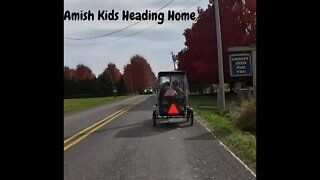 Amish Kids