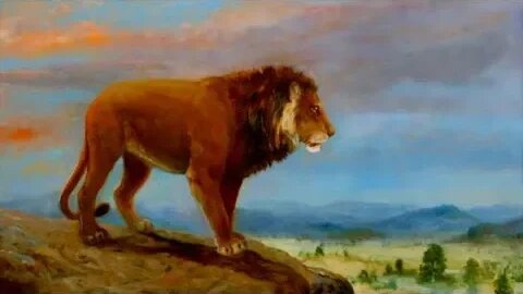 American Lion - Ancient Animal