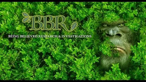 BBR Investigations UK!