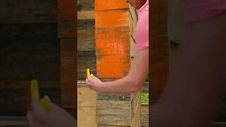 Invisible toilet. Girls build a countryside bathroom.