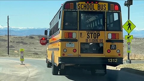 Driving You Crazy: Bus driver from Aurora sees people running red lights and stop signs around school buses
