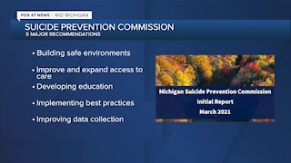 Michigan Suicide Prevention Commission shares recommendations