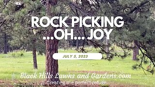 Rock Picking in Horse Pasture for Deck Project July 5, 2023