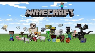 TOP Minecraft VIDEO LISTS №15