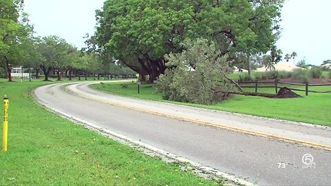 Severe storms knock down trees, power lines across Palm Beach County