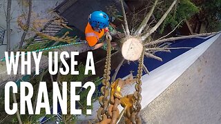 Spruce tree crane removal between houses - Crane work makes for efficient work!!!