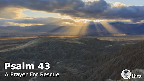PSALM 043 // PRAYER FOR RESCUE