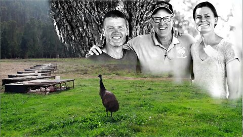 In Joel Salatin's Footsteps: How this Couple are Regenerative Farming in Australia.