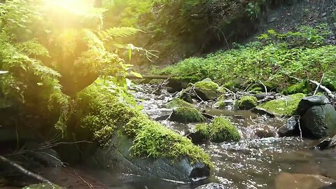 Calming Water Stream for Meditation: Relaxing Sounds for Deep Relaxation