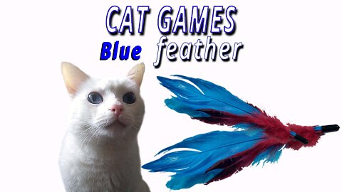 CAT GAMES: Blue Feather Live Action