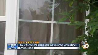 Police looking for man breaking windows with bricks