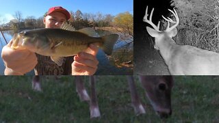 DAY 9 deer camp vlog from Southern Illinois deer camp! Near LIVE deer (And BASS) camp 2022!