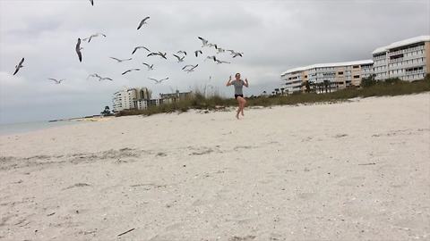 A Girl Gets Chased By A Flock Of Seagulls On A Beach