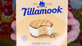 Tillamook Salted Caramel Waffle Cone Ice Cream Sandwich Review