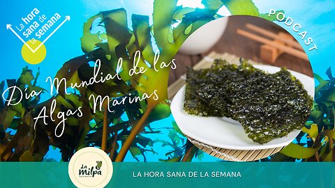 Día Mundial de las Algas Marinas