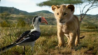 Disney's The Lion King Character Posters Released