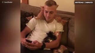 Jovem é atacado com amor por gatinhos filhotes