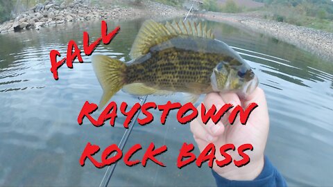 Raystown Rock Bass