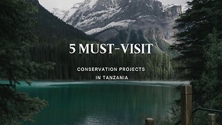 5 Must-Visit Conservation Projects in Tanzania
