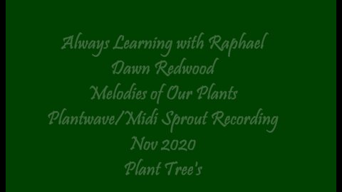 Always Learning with Raphael Dawn Redwood