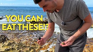 Foraging Wild Food on a Tropical Caribbean Island!