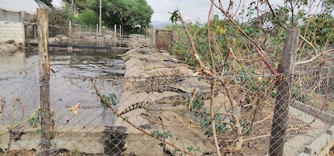 ’Large number’ of crocodiles escape from Boland breeding farm [Pt.3]