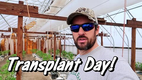 Hydroponic Farming | Tomato Transplant Day! | Greenhouse Tomato Growing | Wishwell Farms vlog 5