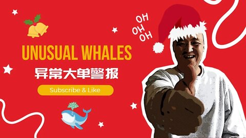 🚨Unusual Whales的期权大单异动警报怎么用？| 怎么挑选最适合期权异动大单？| 如何找到高胜率的期权交易 | 过滤期权异动大单