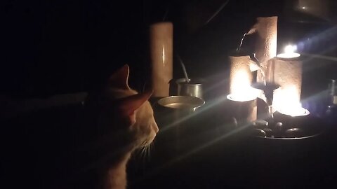 Purrfect sound, streaming water, and candle light. https://www.thescifishortstorywriter.com