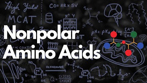 Nonpolar Amino Acids: Aliphatic and Aromatic | MCAT 2021