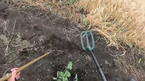 Central MD Sappers Demining Territories In LPR (Lugansk People's Republic)
