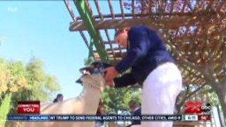 Kern County Fair's livestock show participants prepare animals for virtual video submission