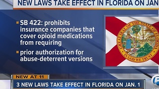 3 new laws take effect in Florida on January 1