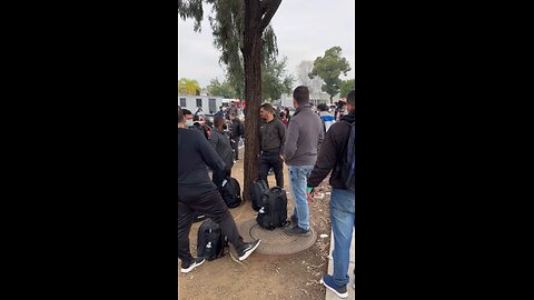 More and more bus loads of foreign illegal immigrants arriving in San Diego…all men