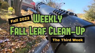 WEEKLY FALL LEAF CLEAN UP • part 3 • Echo PB770t Doing All The Work ! • Lenny The Carhartt Guy