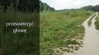 przewietrzyć głowę