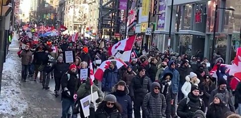 Canadians fight for Freedom in Ottawa - Heroes to the World!