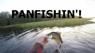 Panfishin' TwentyTwenty