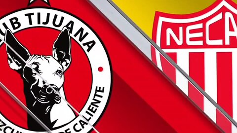 Resumen Xolos VS Necaxa Jornada 14 liga MX Clausura 2024