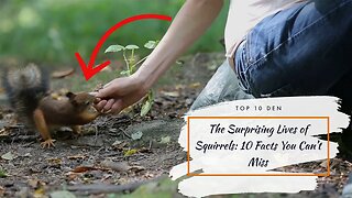 The Surprising Lives of Squirrels: 10 Facts You Can't Miss