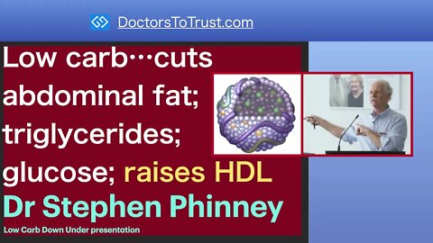 STEPHEN PHINNEY 2 | Low carb…cuts abdominal fat; triglycerides; glucose; raises HDL