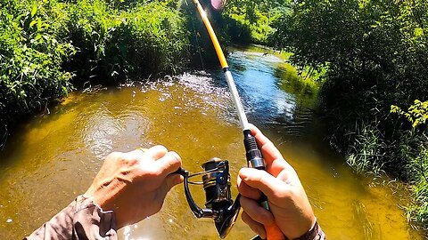 Catching a BIG Trout in a Small Creek