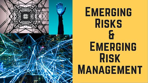 Emerging Risks and Emerging Risk Management (Management of Emerging Risks)