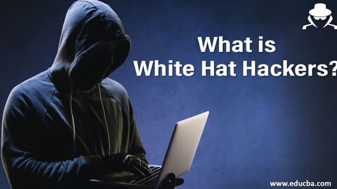 Weird Jobs You Had No Idea Existed || The White Hat Hackers || FACTS || TRIVIA