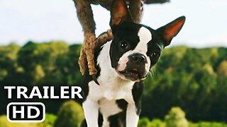STRAYS Trailer 2 (2023) Will Ferrell, Jamie Foxx